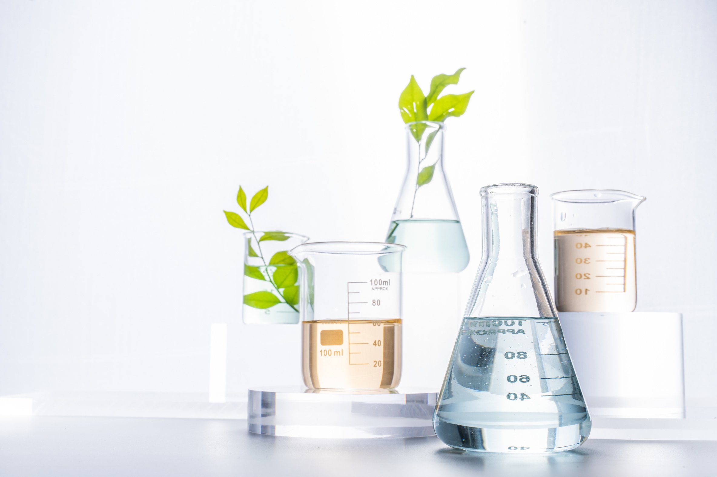 Beakers with Branches of Leaves